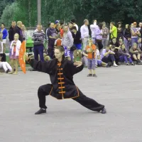 Cēsis_2011