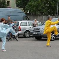 Cēsis_2011