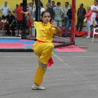 Cēsis_2011
