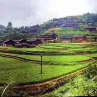 Guansi