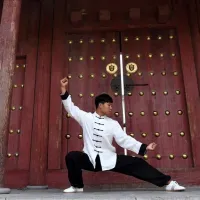 Taichi